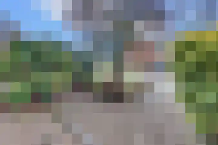De Wittenhagen 105 Harderwijk thumbnail 57