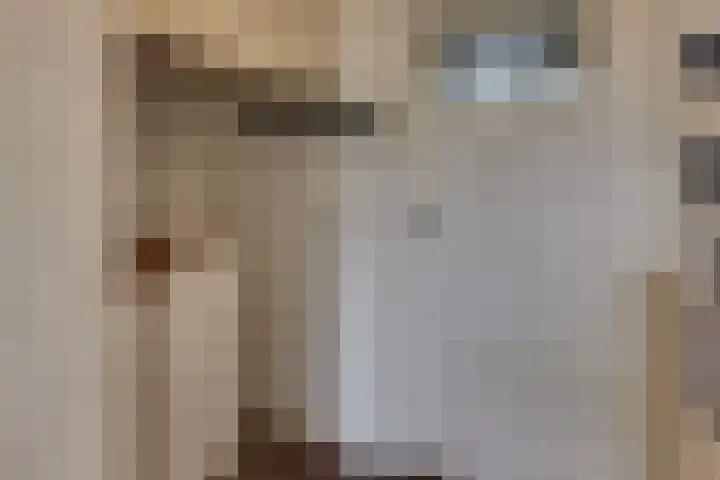 De Wittenhagen 105 Harderwijk thumbnail 6