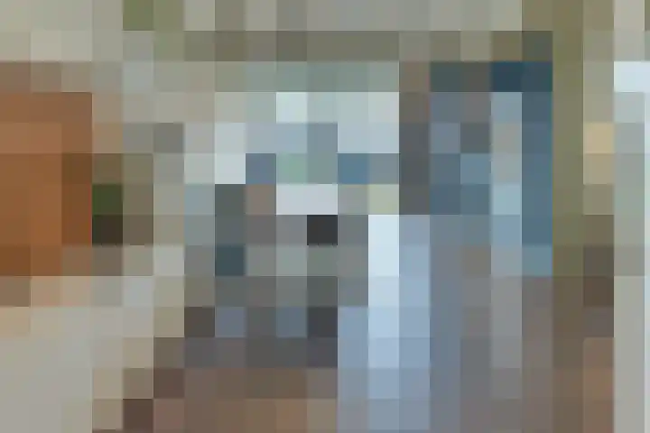 De Wittenhagen 105 Harderwijk thumbnail 8