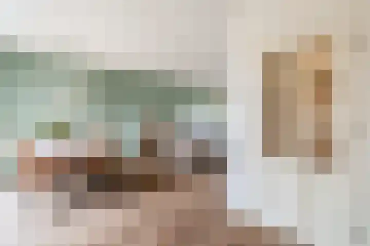 De Wittenhagen 19 Harderwijk thumbnail 4