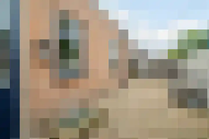 De Wittenhagen 19 Harderwijk thumbnail 41