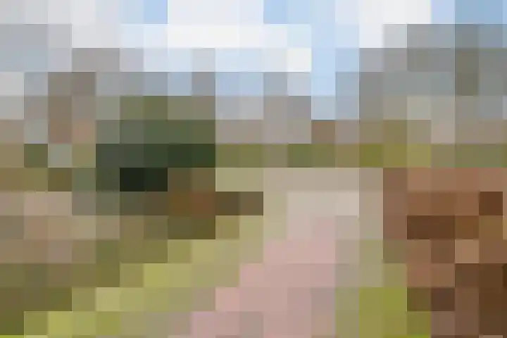 De Wittenhagen 19 Harderwijk thumbnail 46