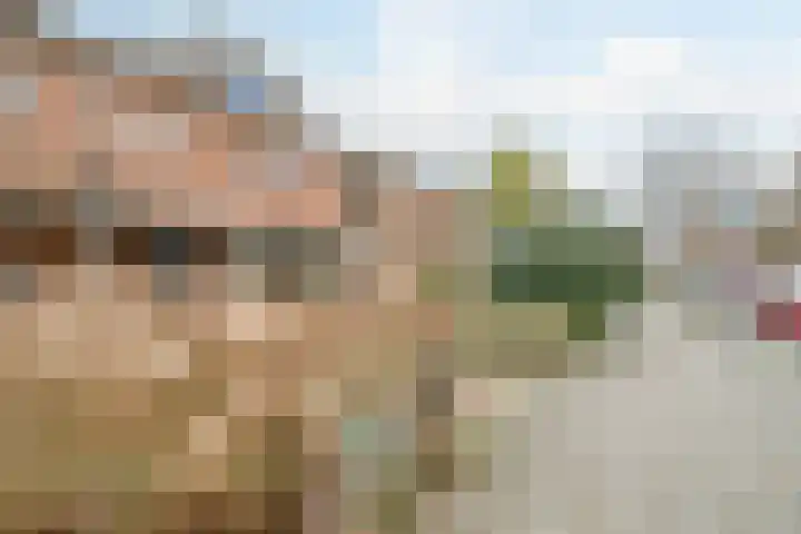 De Wittenhagen 19 Harderwijk thumbnail 47