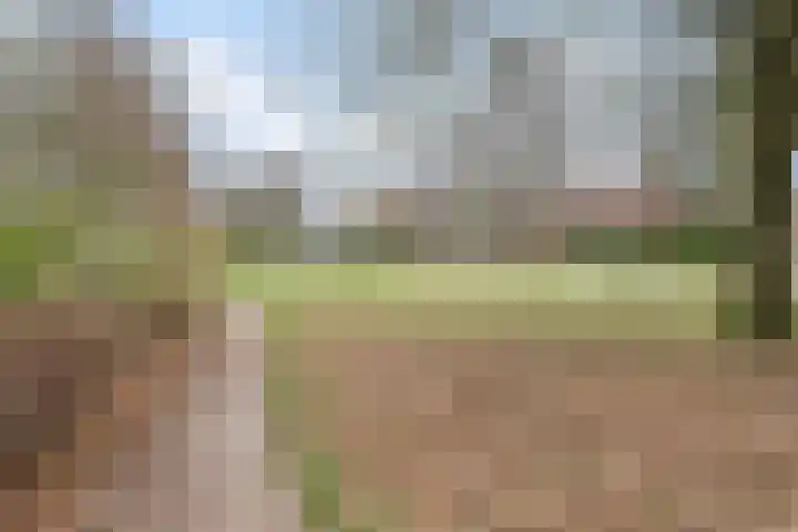 De Wittenhagen 19 Harderwijk thumbnail 48