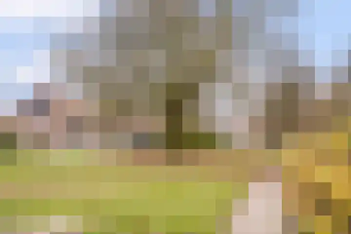 De Wittenhagen 19 Harderwijk thumbnail 49