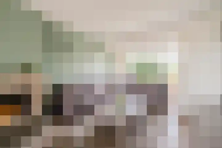 De Wittenhagen 19 Harderwijk thumbnail 5