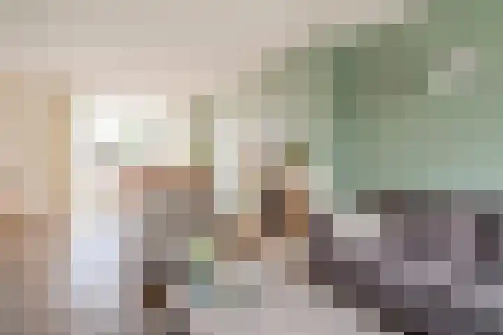De Wittenhagen 19 Harderwijk thumbnail 7