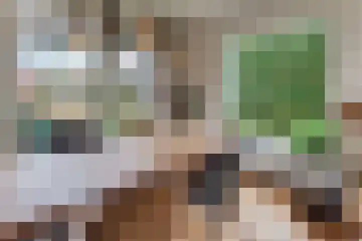 De Wittenhagen 22 Harderwijk thumbnail 18