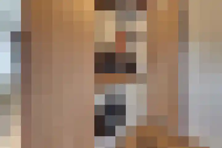 De Wittenhagen 22 Harderwijk thumbnail 26