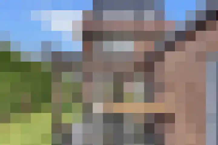 De Wittenhagen 22 Harderwijk thumbnail 4