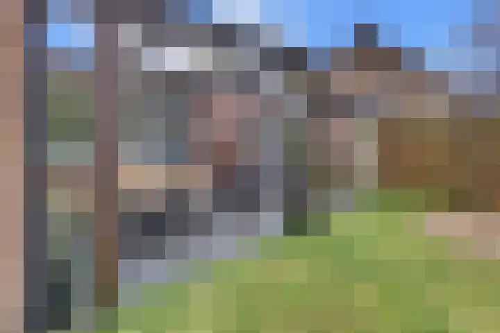 De Wittenhagen 22 Harderwijk thumbnail 56