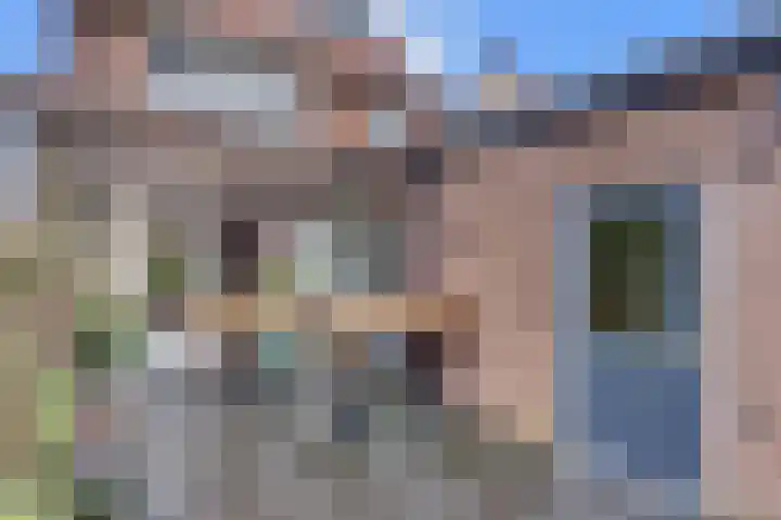 De Wittenhagen 22 Harderwijk thumbnail 60