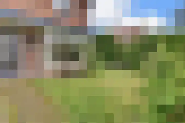 De Wittenhagen 22 Harderwijk thumbnail 64