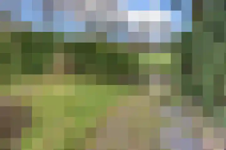 De Wittenhagen 22 Harderwijk thumbnail 65