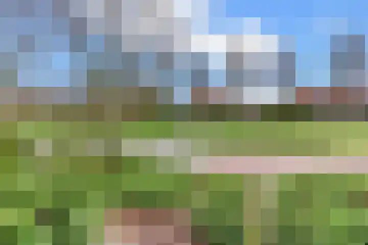 De Wittenhagen 22 Harderwijk thumbnail 66