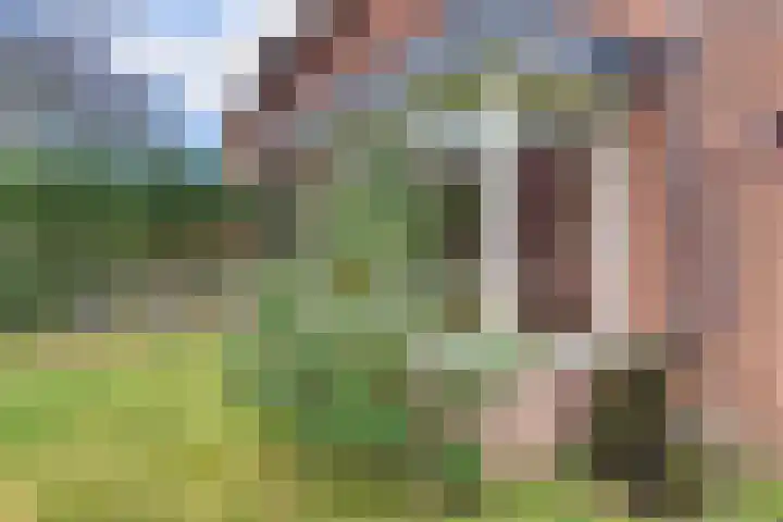De Wittenhagen 22 Harderwijk thumbnail 67