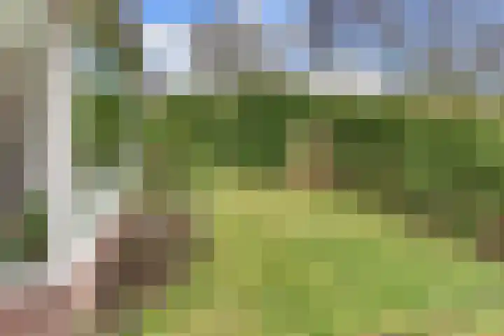 De Wittenhagen 22 Harderwijk thumbnail 68