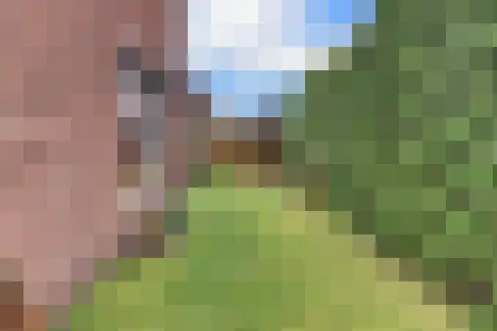 De Wittenhagen 22 Harderwijk thumbnail 69