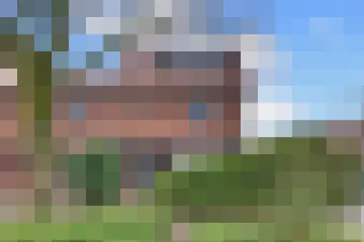 De Wittenhagen 22 Harderwijk thumbnail 71