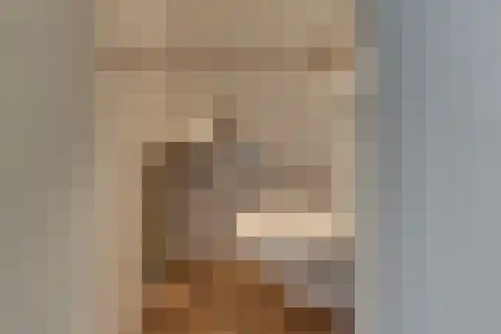 De Wittenhagen 22 Harderwijk thumbnail 8