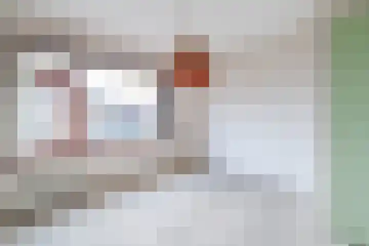 De Wittenhagen 24 Harderwijk thumbnail 16