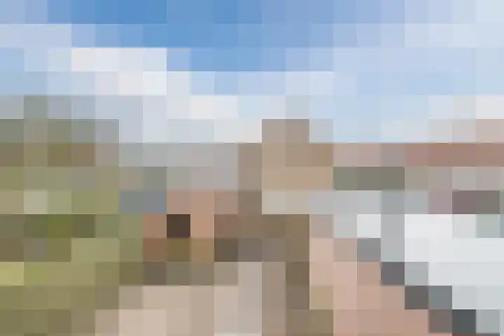 De Wittenhagen 24 Harderwijk thumbnail 29