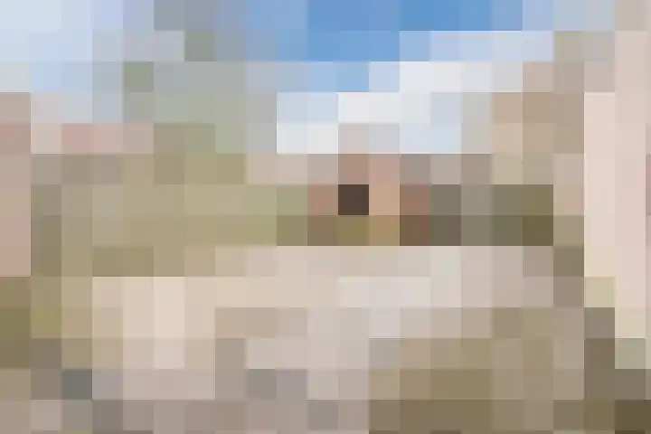 De Wittenhagen 24 Harderwijk thumbnail 31