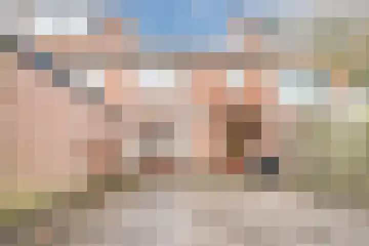 De Wittenhagen 24 Harderwijk thumbnail 33