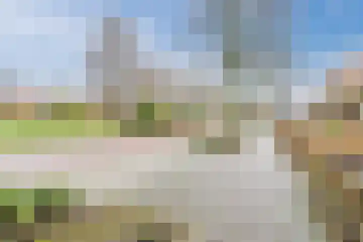 De Wittenhagen 24 Harderwijk thumbnail 35