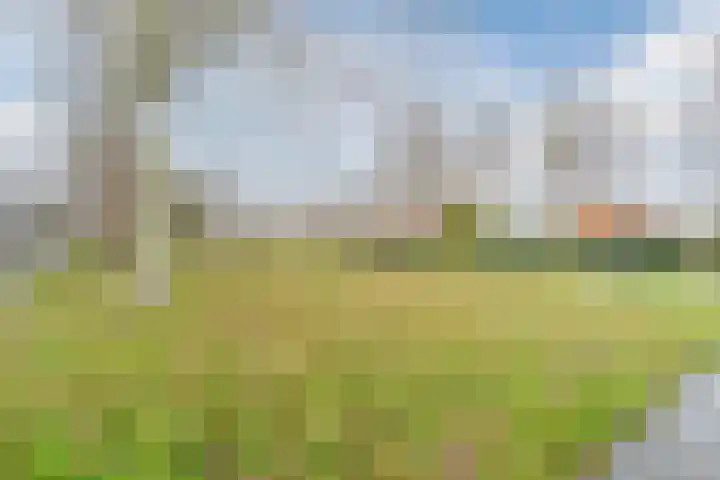 De Wittenhagen 24 Harderwijk thumbnail 37