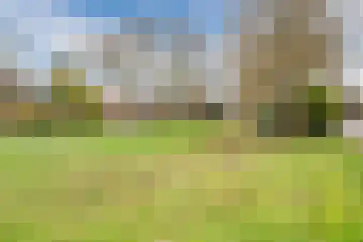 De Wittenhagen 24 Harderwijk thumbnail 38