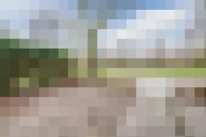 De Wittenhagen 24 Harderwijk thumbnail 4