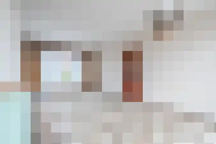 De Wittenhagen 24 Harderwijk thumbnail 9