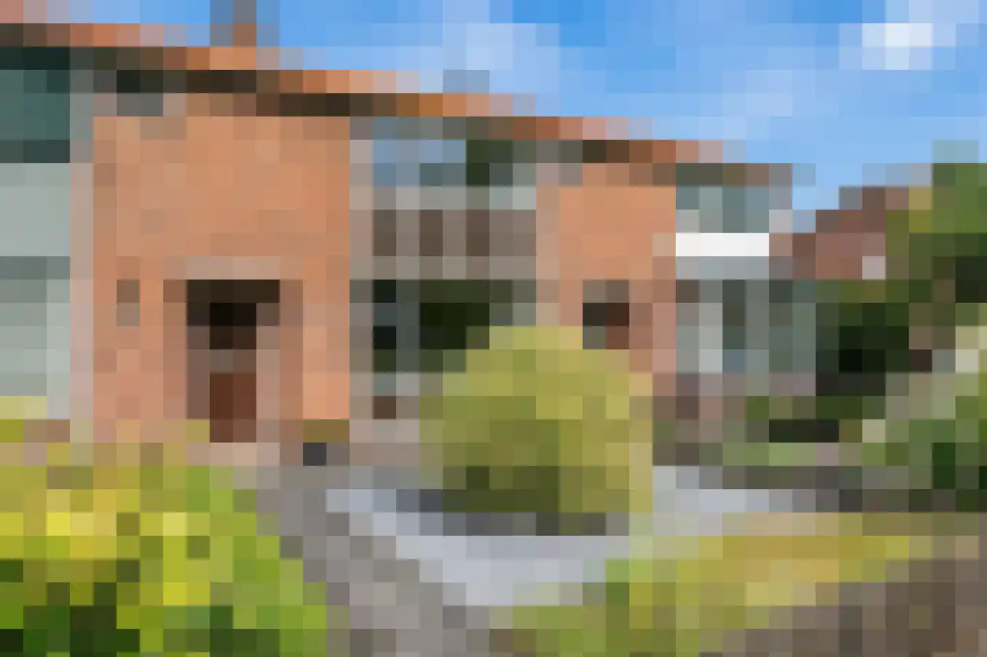 De Wittenhagen 35 Harderwijk thumbnail 36