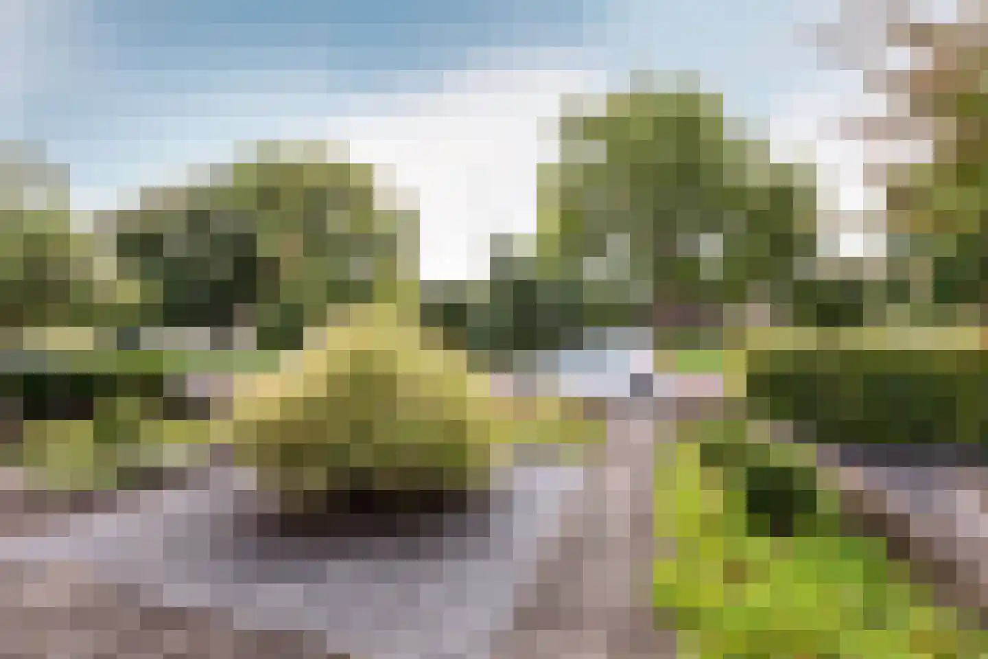De Wittenhagen 35 Harderwijk thumbnail 37