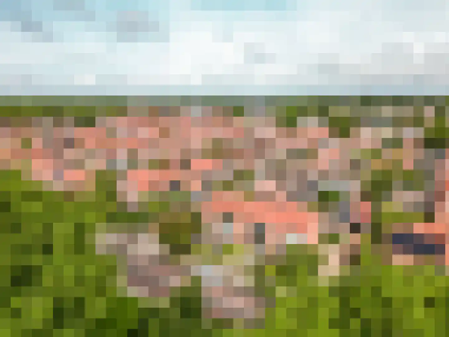 De Wittenhagen 35 Harderwijk thumbnail 39