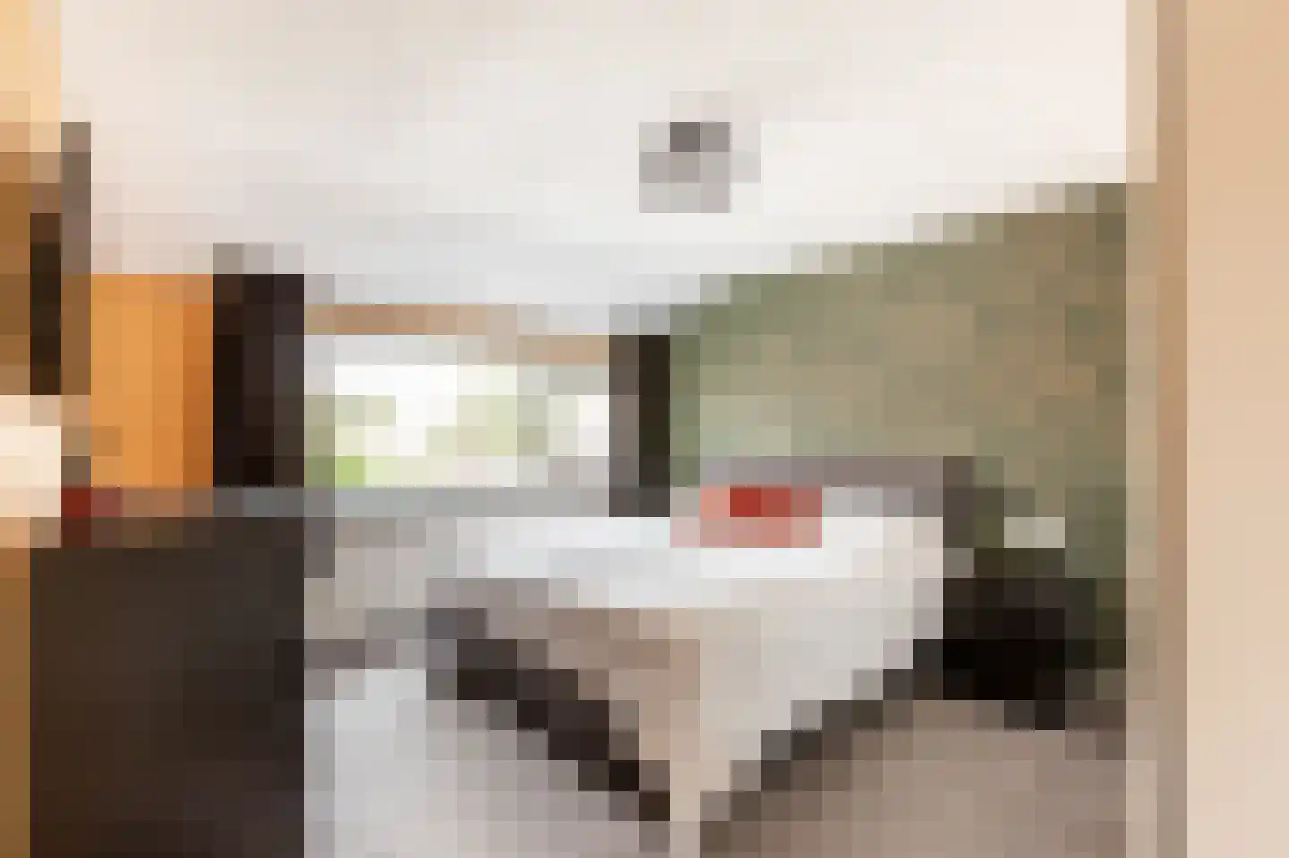 De Wittenhagen 35 Harderwijk thumbnail 4