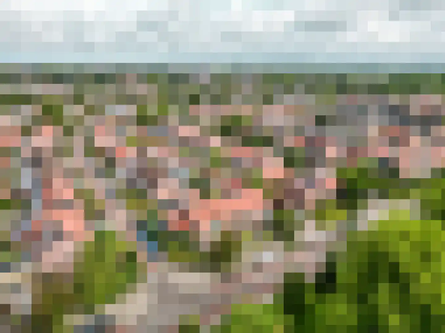 De Wittenhagen 35 Harderwijk thumbnail 40