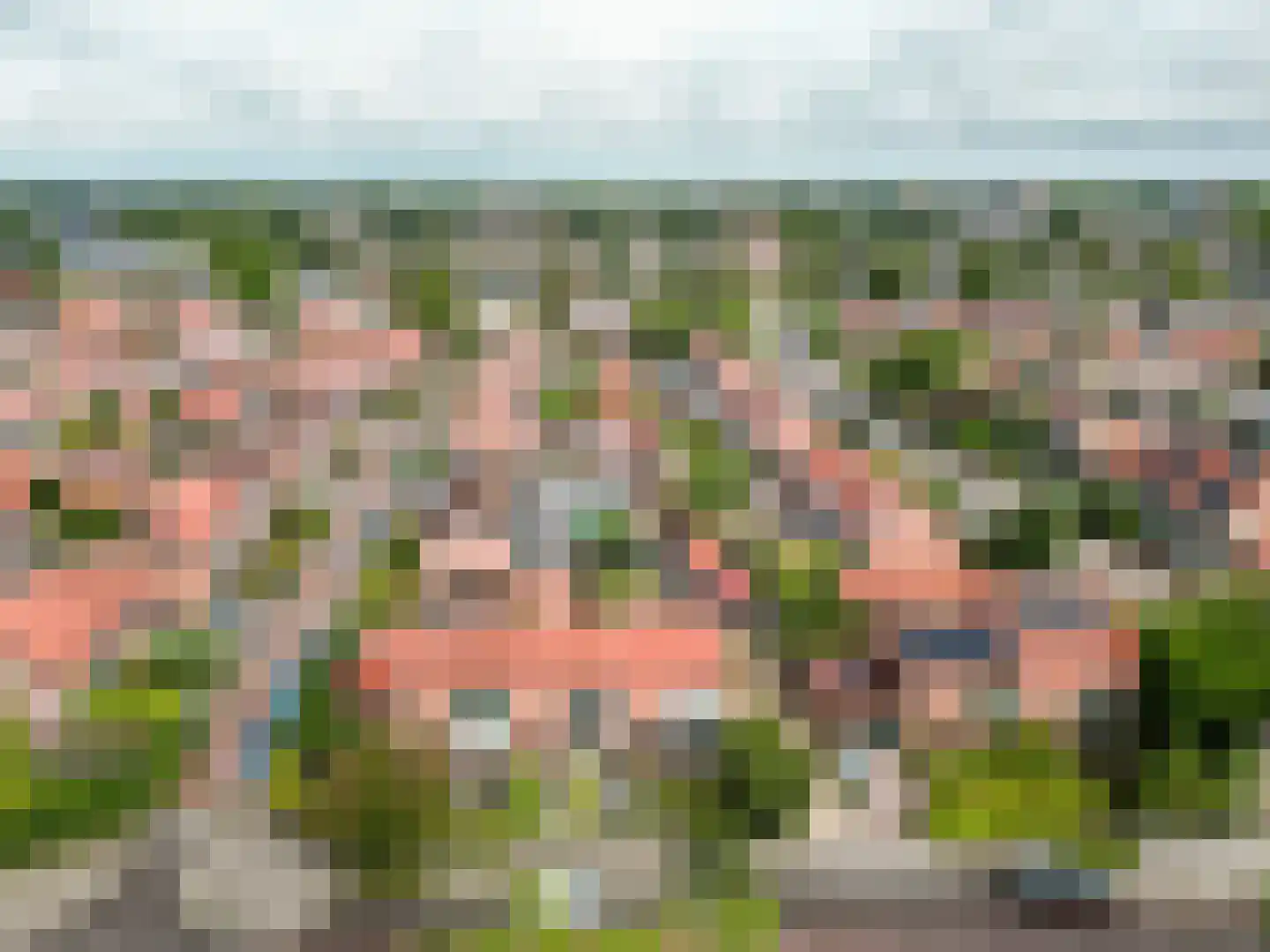 De Wittenhagen 35 Harderwijk thumbnail 41