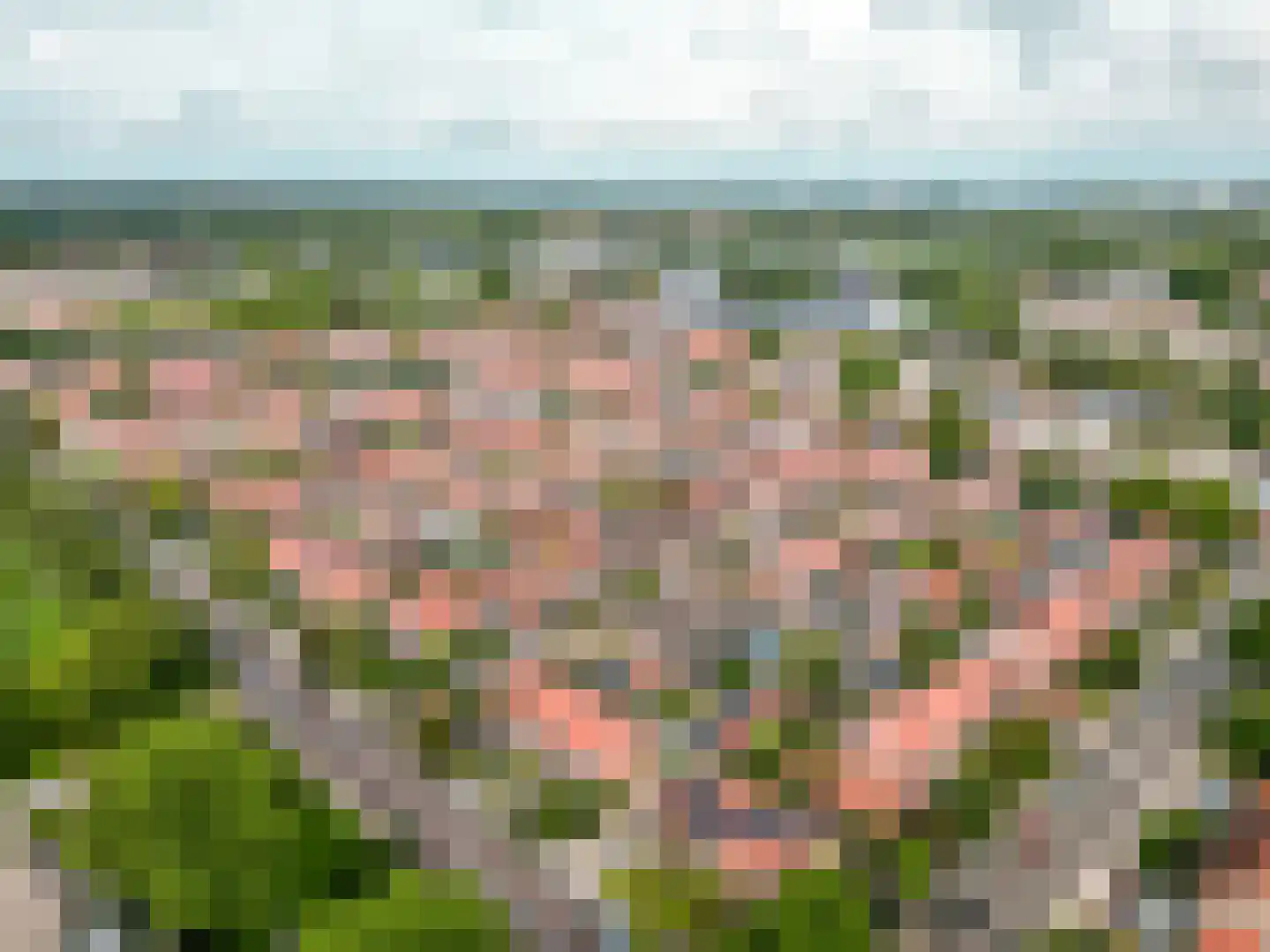 De Wittenhagen 35 Harderwijk thumbnail 42