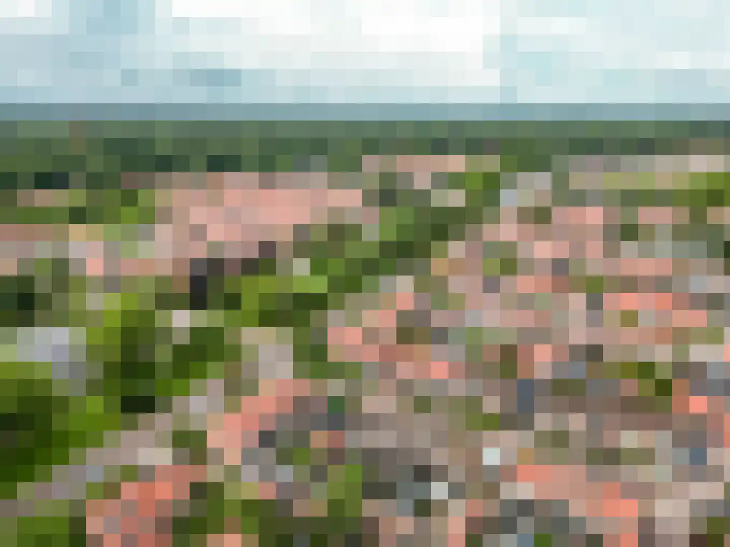 De Wittenhagen 35 Harderwijk thumbnail 43