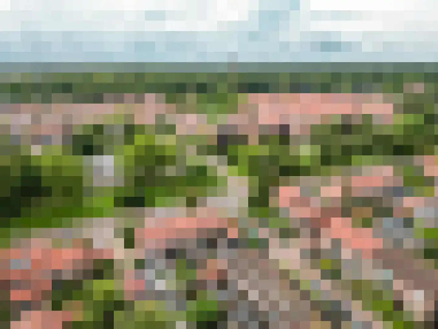 De Wittenhagen 35 Harderwijk thumbnail 44