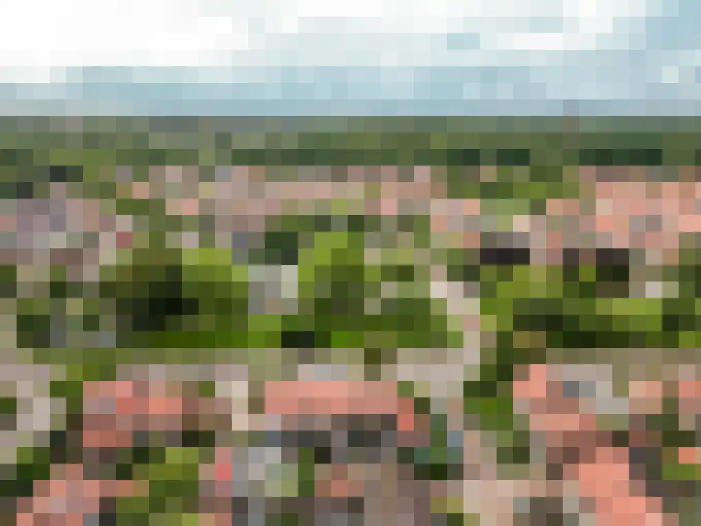 De Wittenhagen 35 Harderwijk thumbnail 45