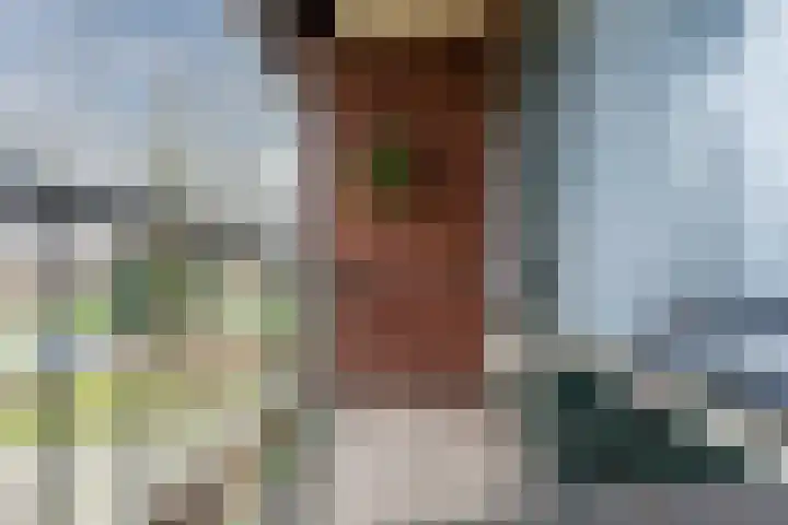 De Wittenhagen 54 Harderwijk thumbnail 31