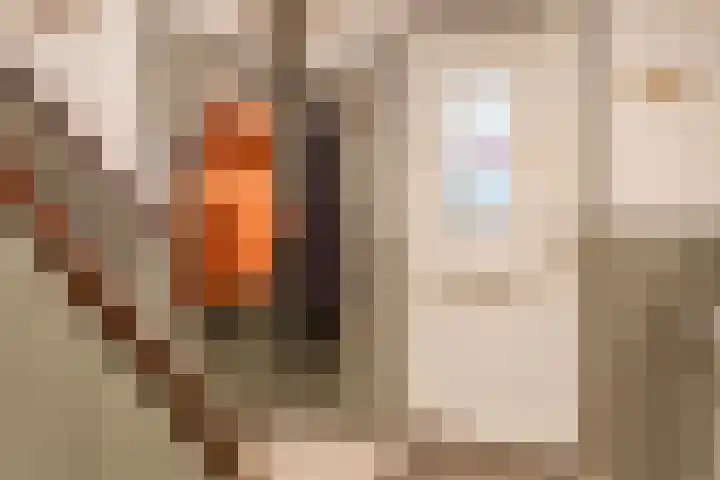 De Wittenhagen 54 Harderwijk thumbnail 4