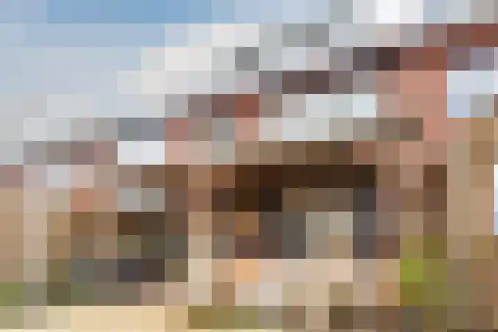 De Wittenhagen 54 Harderwijk thumbnail 47