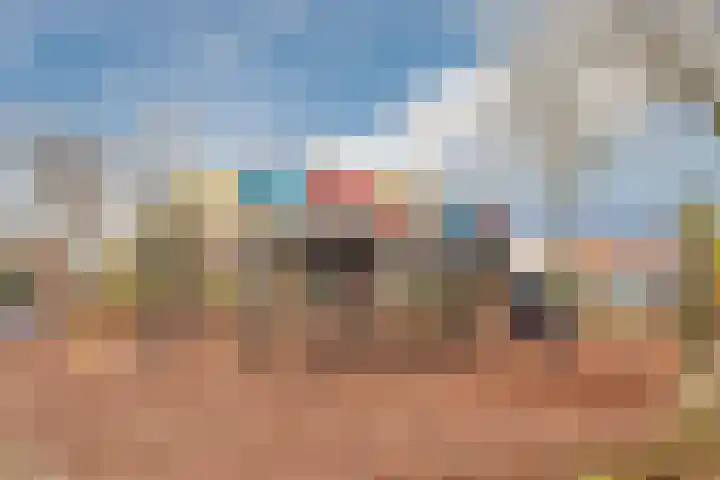 De Wittenhagen 54 Harderwijk thumbnail 49
