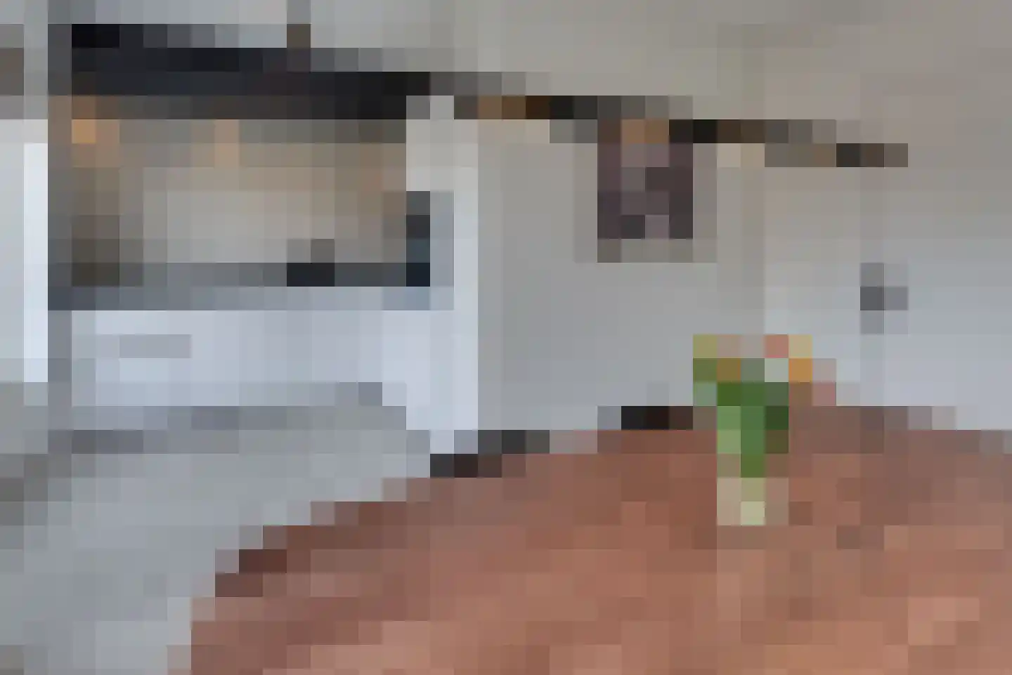 De Wittenhagen 59 A Harderwijk thumbnail 18