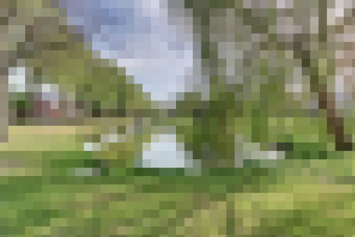 De Wittenhagen 59 A Harderwijk thumbnail 44