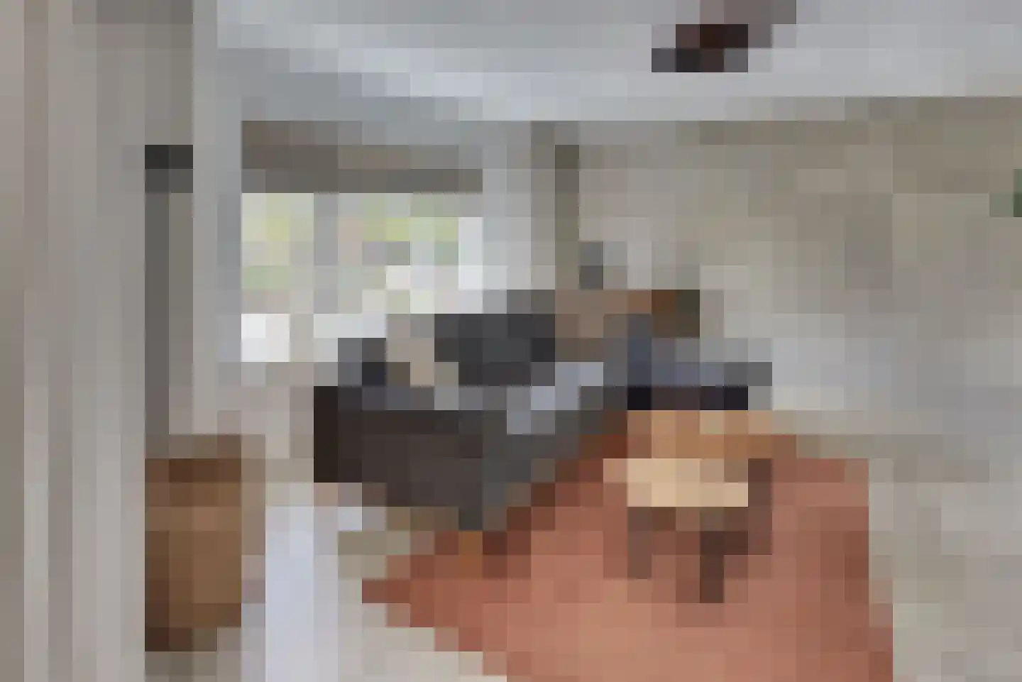 De Wittenhagen 59 A Harderwijk thumbnail 9